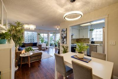 Charming Charlotte Gardens